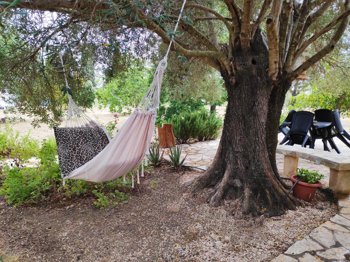 Dreamy Stone House Villa Pesadha Exterior photo